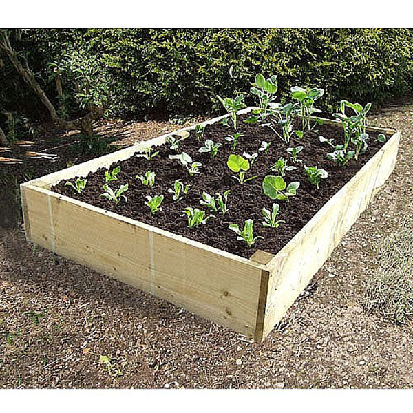 2 Foot Raised beds from our Premier, thicker timber range. These beds are high and come in a variety of sizes to suit any garden, tunnel, or allotment (Pine, Various sizes)